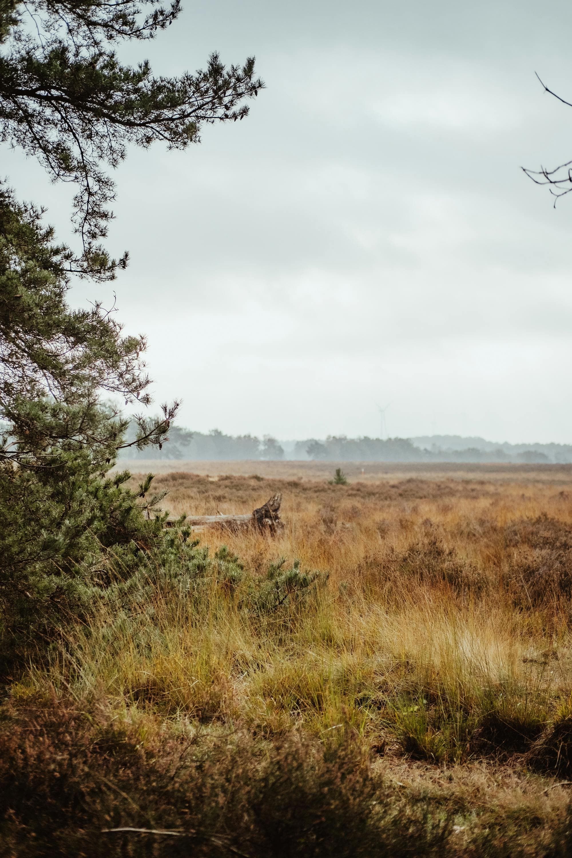 Landgoed Veluwezoom