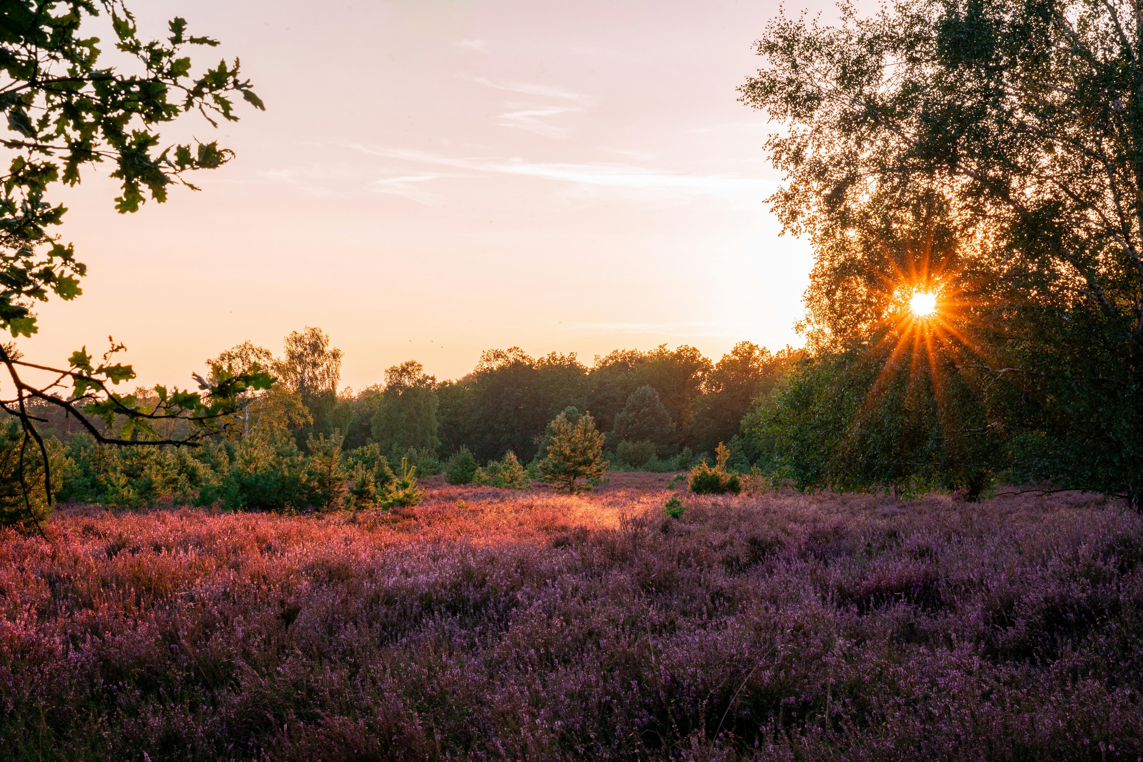 Landschapshuis Norden