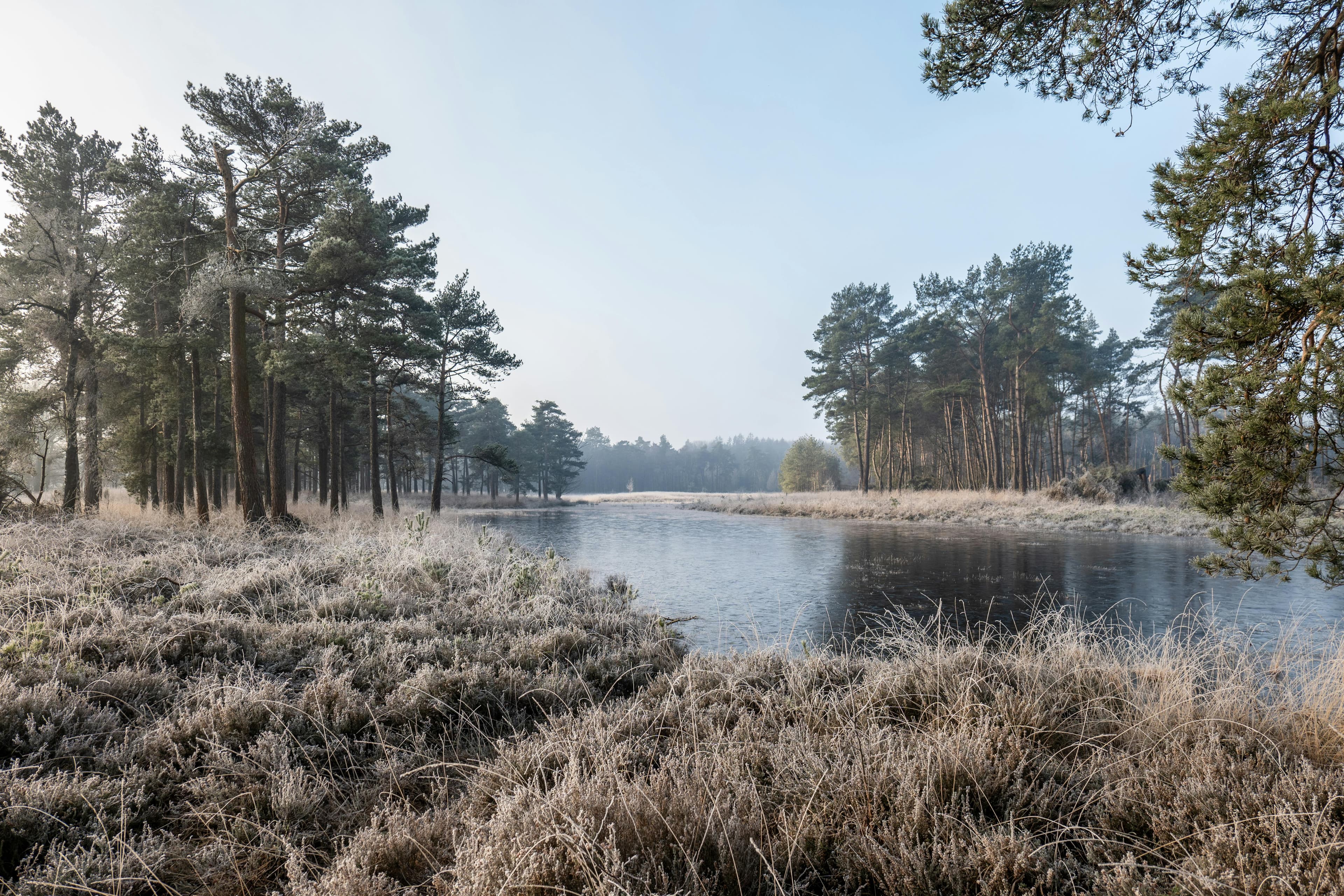 Drenthe